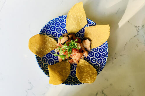 Cloak  Petal - ceviche